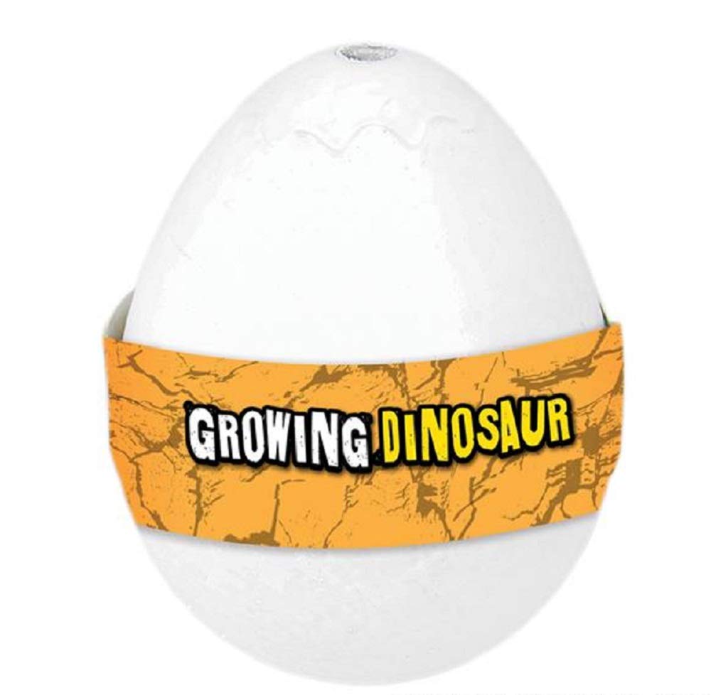 Rhode Island Novelty Ovo de Dinossauro - Crescimento Instantâneo
