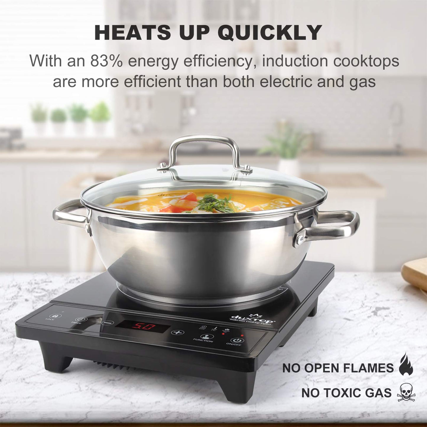 Duxtop Fogão de Indução Portátil com Timer e Sensor Touch 1800W (Preto)