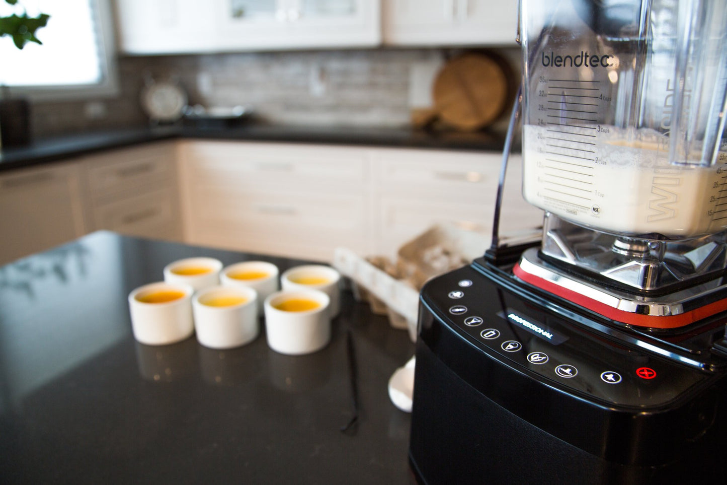 Blendtec Professional 800 Blender com Jarra Twister e WildSide - Preto